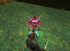 画像ギャラリー No.032のサムネイル画像 / EQIIの拡張パック第4弾,「EverQuest II Rise of Kunark」のプレイレポートを掲載