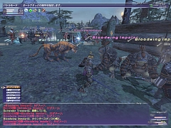 画像ギャラリー No.006のサムネイル画像 / 【FFXIレポート04】水晶大戦を具現化した大規模戦「カンパニエバトル」のシステム/魅力を基礎から再チェック