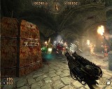 Painkiller: Overdose 日本語マニュアル付英語版