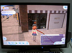 画像ギャラリー No.004のサムネイル画像 / ［TGS 2008＃021］こじんまり感がちょっと寂しい，PCオンラインゲームコーナー