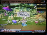 画像ギャラリー No.005のサムネイル画像 / ［G★2007＃50］可愛い系横スクロールオンラインRPG「ドラゴニカ」に触れてみた
