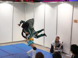 画像ギャラリー No.007のサムネイル画像 / 男色ディーノのゲイムヒヒョー ゼロ：第348回「TGS 2015の思い出」