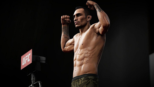 画像ギャラリー No.005のサムネイル画像 / 男色ディーノのゲイムヒヒョー ゼロ：第467回「『UFC 3』のリアリティ」