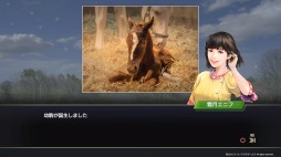 画像ギャラリー No.005のサムネイル画像 / 男色ディーノのゲイムヒヒョー ゼロ:第527回「攻略!『Winning Post 9』」