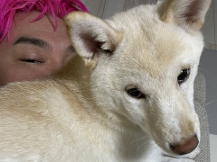 男色ディーノのゲイムヒヒョー ゼロ：第706回「苦労と報酬について」
