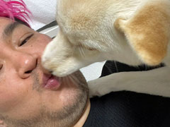 男色ディーノのゲイムヒヒョー ゼロ：第714回「『ハーヴェステラ』という挑戦」