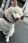 画像ギャラリー No.004のサムネイル画像 / 男色ディーノのゲイムヒヒョー ゼロ:第789回「人間,変わっていいんだ」
