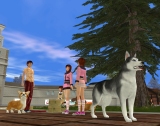 画像ギャラリー No.008のサムネイル画像 / 「Soundness Dog&Friends Online」で賞金総額750万円のゲーム内イベント