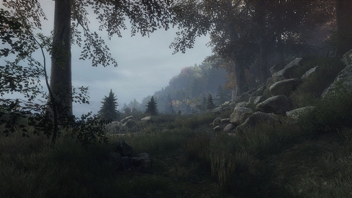 画像ギャラリー No.007のサムネイル画像 / インディーズゲームの小部屋：Room＃353「The Vanishing of Ethan Carter」