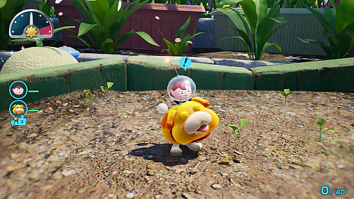 画像ギャラリー No.007のサムネイル画像 / 「ピクミン4」のSwitch2版が11月12日リリース。声による操作に対応し，毎週末に「ダンドリ検定」も楽しめる