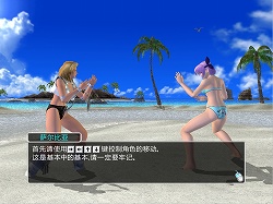 画像ギャラリー No.006のサムネイル画像 / ［CJ 2008＃45］日本でのサービスも秒読み段階？　「DOA ONLINE」プロデューサー，長谷川 仁氏に直撃インタビュー