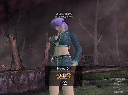 画像ギャラリー No.021のサムネイル画像 / ［CJ 2008＃45］日本でのサービスも秒読み段階？　「DOA ONLINE」プロデューサー，長谷川 仁氏に直撃インタビュー