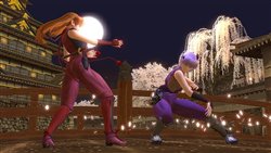 画像ギャラリー No.002のサムネイル画像 / 「DOA ONLINE」の台湾独占運営サービスはガマニアに決定