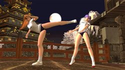 画像ギャラリー No.003のサムネイル画像 / 「DOA ONLINE」の台湾独占運営サービスはガマニアに決定