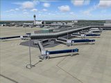 大空にこだわろう！みんなの空港4