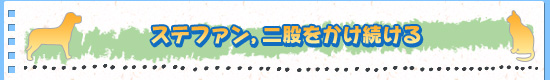 ステファン，二股をかけ続ける