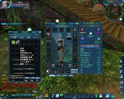 画像ギャラリー No.016のサムネイル画像 / 新生 「LEGEND of CHUSEN 2 -新世界-」先行プレイレポート，4Gamerから登録してお得なアイテムを手に入れよう
