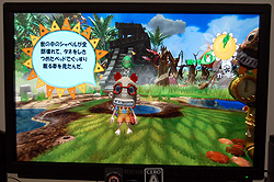 画像ギャラリー No.009のサムネイル画像 / ［TGS 2007＃12］インタフェースもしっかり見直されたPC版「あつまれ！ピニャータ」