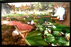 画像ギャラリー No.003のサムネイル画像 / ［TGS 2007＃19］PC版「あつまれ！ピニャータ」の雰囲気が分かる直撮りプレイムービーを掲載