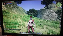 画像ギャラリー No.006のサムネイル画像 / [CJ 2011]中国産MMORPGとしては“かなり頑張ってる”グラフィックス。完成度を増した「Myths ＆ Heroes 3（天驕3）」がプレイアブル出展 