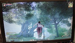 画像ギャラリー No.007のサムネイル画像 / [CJ 2011]中国産MMORPGとしては“かなり頑張ってる”グラフィックス。完成度を増した「Myths ＆ Heroes 3（天驕3）」がプレイアブル出展 