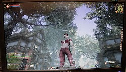 画像ギャラリー No.009のサムネイル画像 / [CJ 2011]中国産MMORPGとしては“かなり頑張ってる”グラフィックス。完成度を増した「Myths ＆ Heroes 3（天驕3）」がプレイアブル出展 