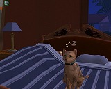 The Sims Pet Stories（Macintosh）