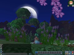 画像ギャラリー No.008のサムネイル画像 / MMORPG「Secret Online」，クローズドβテストが本日スタート