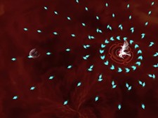 画像ギャラリー No.009のサムネイル画像 / PvPやペットシステムなどの新要素を実装し，「Valkyrie Sky」の正式サービスが2月25日よりスタート