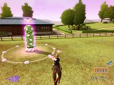 画像ギャラリー No.006のサムネイル画像 / 馬の手入れや乗馬を楽しめる「My Horse and Me」のデモ版を4GamerにUp