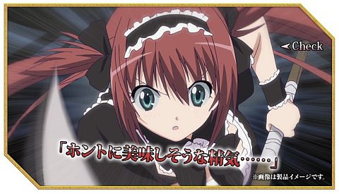 画像ギャラリー No.005のサムネイル画像 / 「アークサイン」， TVアニメ「クイーンズブレイド」からアイリとメナスが登場