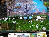 画像ギャラリー No.022のサムネイル画像 / ［TGS 2007＃29］明日からCBTが開始される「ハルカ」をちょっぴり遊んでみた