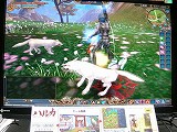 画像ギャラリー No.023のサムネイル画像 / ［TGS 2007＃29］明日からCBTが開始される「ハルカ」をちょっぴり遊んでみた
