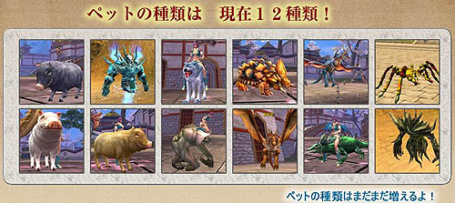 画像ギャラリー No.003のサムネイル画像 / 「ハルカ」大型アップデート「破砕虚空編」のペット＆結婚システム紹介ムービーを掲載。ハルカコイン大増量キャンペーン中