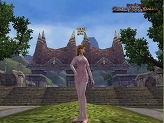 画像ギャラリー No.003のサムネイル画像 / ［TGS 2007＃21］台湾産のMMORPG「King of Kings：Gods of Seven Realms」のデモムービーを4GamerにUp