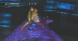 画像ギャラリー No.053のサムネイル画像 / ［E3 09］任天堂プレスカンファレンスがスタート。公式サイトで日本語訳付きLive中継も！