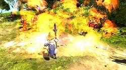 画像ギャラリー No.002のサムネイル画像 / 【ドラネスNavi 4Gamer.net版】第3回:「ソーサレス」「クレリック」「アカデミック」の育成ガイドを掲載&4Gamer限定シリアルコードを配布!