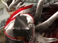 極私的コンシューマゲームセレクション：第17回「戦国BASARA2」