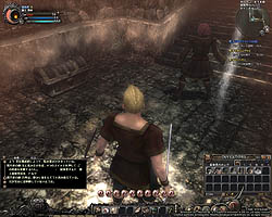 画像ギャラリー No.028のサムネイル画像 / テスターへの挑戦状か？　「Wizardry Online」バランステストで追加される「エルフ（女）」「新ダンジョン」などのコンテンツを紹介
