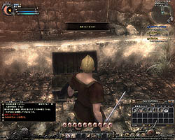 画像ギャラリー No.029のサムネイル画像 / テスターへの挑戦状か？　「Wizardry Online」バランステストで追加される「エルフ（女）」「新ダンジョン」などのコンテンツを紹介