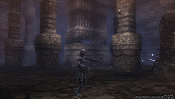 画像ギャラリー No.007のサムネイル画像 / 「Wizardry Online」のOBTは10月7日スタート。同テストで実装される新ダンジョン「チコル城址」のムービーが公開に