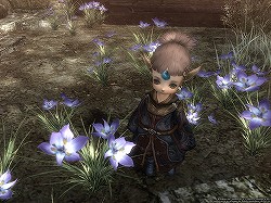 画像ギャラリー No.020のサムネイル画像 / 「Wizardry Online」はアップデートとワールド再編でコミュニティを強化。待望の古代魔法と上級職の実装予定にも言及した運営/開発チームインタビュー
