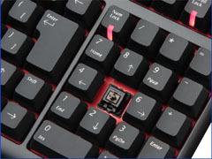 画像ギャラリー No.003のサムネイル画像 / DHARMAPOINT,“MX茶軸”採用のゲーマー向けキーボードを200台限定発売