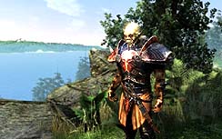 画像ギャラリー No.006のサムネイル画像 / 発売が2011年1月に延期されたRPG,「Two Worlds II」の最新画像公開。独自ゲームエンジンが描くグラフィックスをチェックしよう