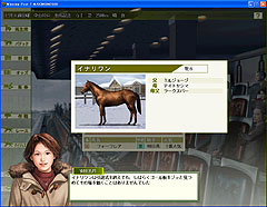 画像ギャラリー No.005のサムネイル画像 / 2008年版最新データ収録「Winning Post 7 MAXIMUM2008」のレビューを掲載