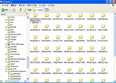画像ギャラリー No.026のサムネイル画像 / Eee PC発売記念（？）　この小さいマシンでゲームを動かしてみよう――その1：Windows XPを頑張って小さくしてみる