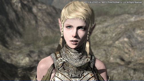 画像ギャラリー No.010のサムネイル画像 / これはなにやら血が騒ぐ! 「Kingdom Under Fire II」とは一体どんなゲームなのか,開発責任者から直にレクチャー