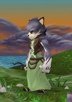画像ギャラリー No.002のサムネイル画像 / ブラウザ型MMORPG「いきものがたり」の先行体験会で使用可能な種族とキャラクターメイキング情報が公開に