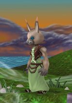 画像ギャラリー No.005のサムネイル画像 / ブラウザ型MMORPG「いきものがたり」の先行体験会で使用可能な種族とキャラクターメイキング情報が公開に