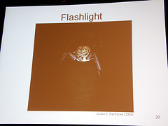 画像ギャラリー No.008のサムネイル画像 / ［GDC 2008＃21］ゲームに使えるリアルタイムレイトレーシング最前線